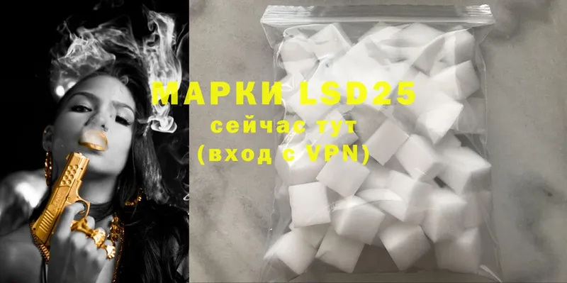 это наркотические препараты  MEGA tor  Каменногорск  LSD-25 экстази ecstasy 